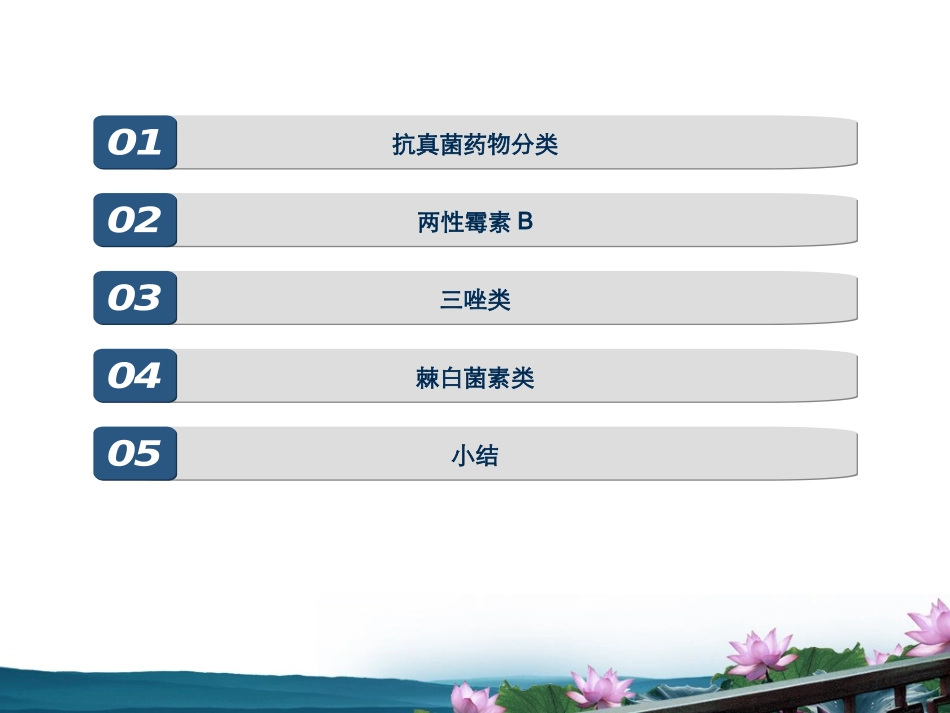 特殊使用抗真菌药物_第2页