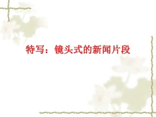 特写镜头式的新闻片段