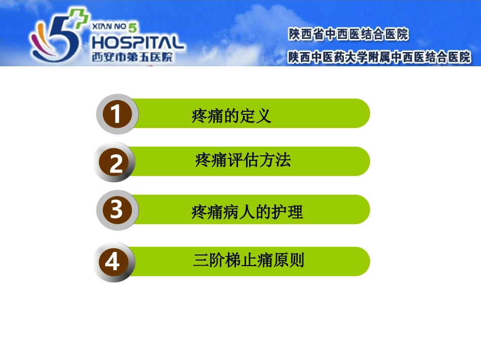 疼痛的评估和护理_第2页