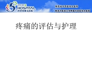 疼痛的评估和护理