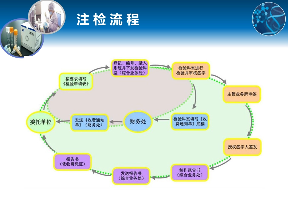 体外诊断产品注册检验流程培训资料_第3页
