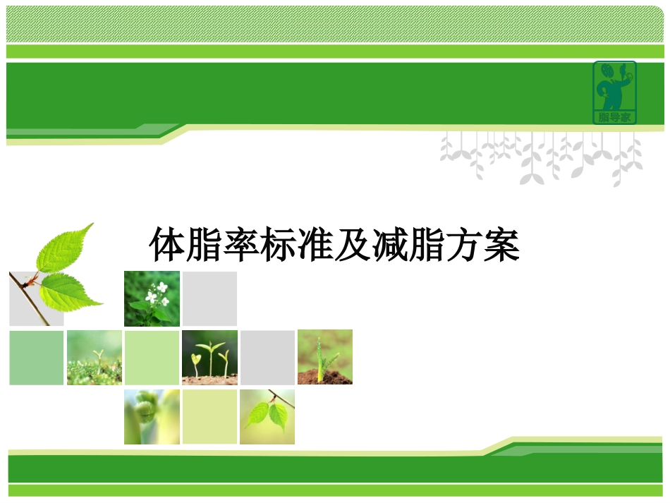 体脂率标准及减脂方案_第1页