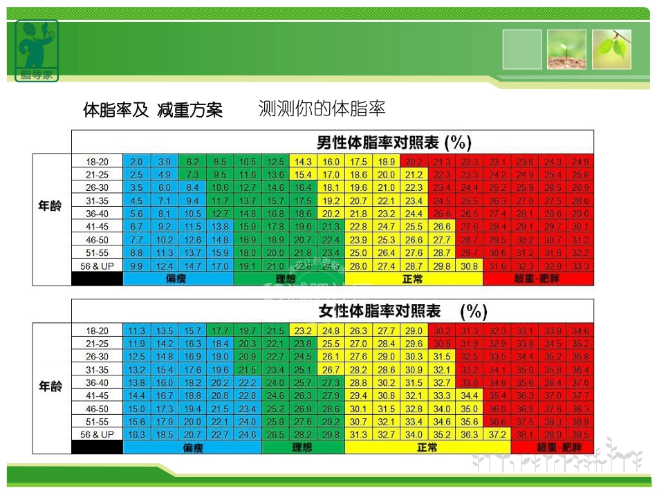 体脂率标准及减脂方案_第3页