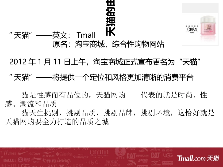 天猫电商案例分析_第3页