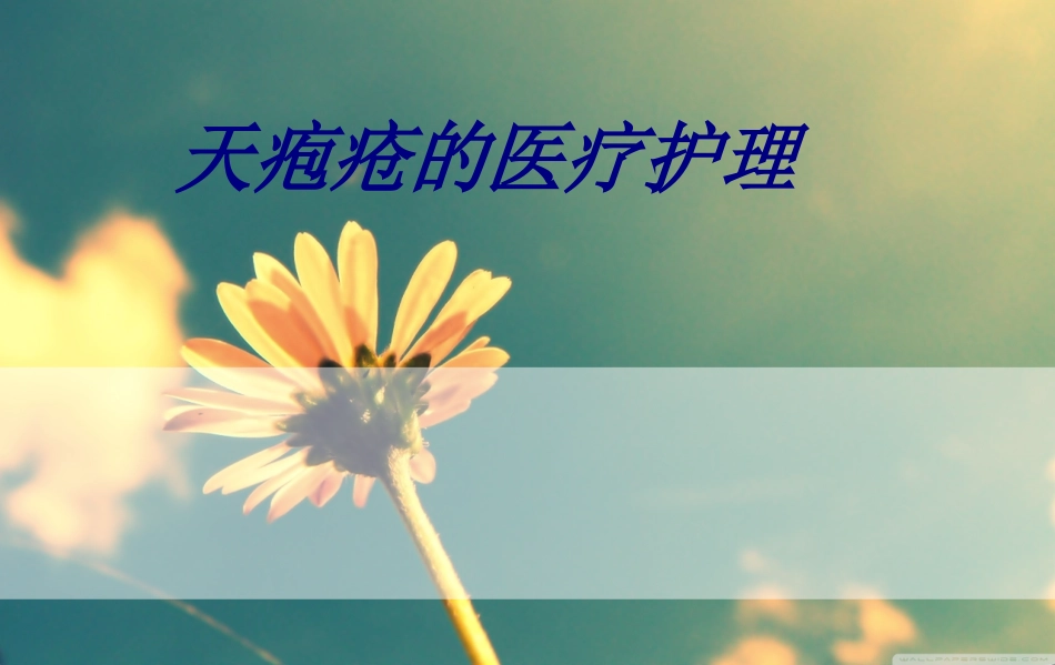 天疱疮的医疗护理讲义_第1页