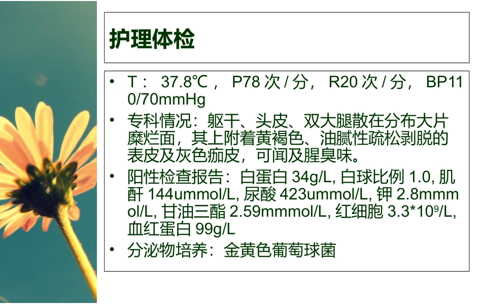天疱疮的医疗护理讲义_第3页