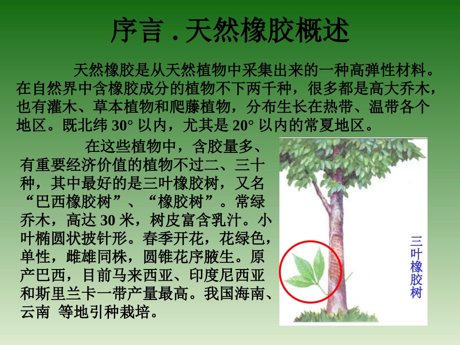 天然胶基础知识上_第3页