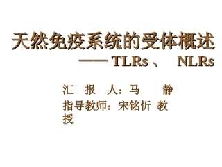 天然免疫系统的受体马静分析解析