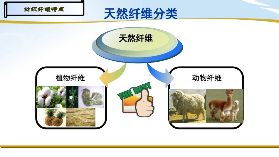 天然纤维特点_第2页
