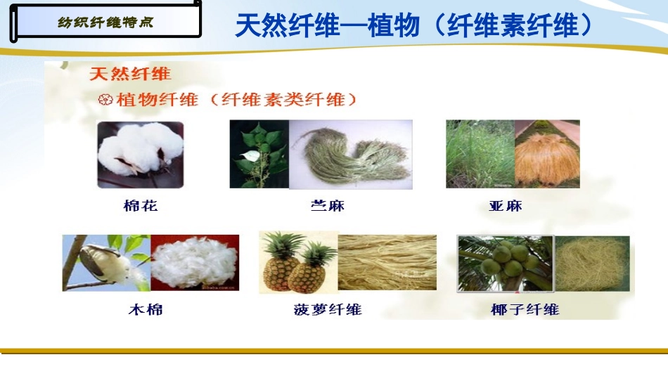 天然纤维特点_第3页
