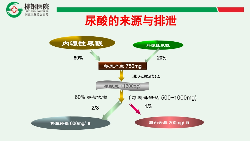 痛风用药指导建议_第3页