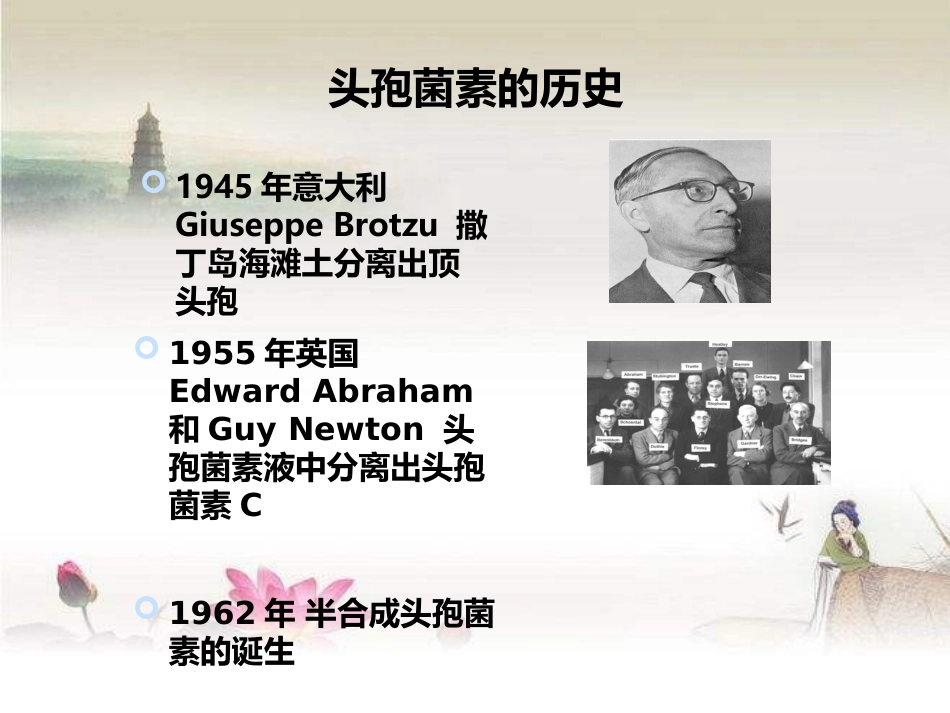 头孢类抗菌药物简介_第3页