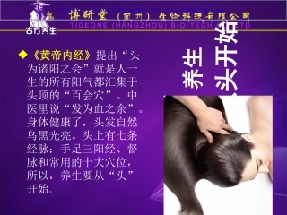 头部常用穴位及经络课件