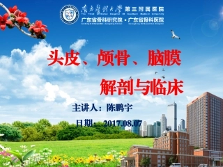 头皮颅骨脑膜解剖和临床