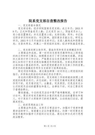 院系党支部自查整改报告