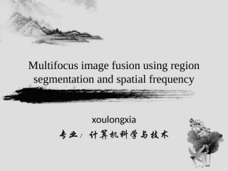 图像融合报告
