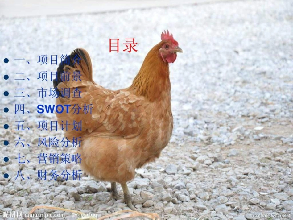 土鸡养殖的创业计划书_第2页