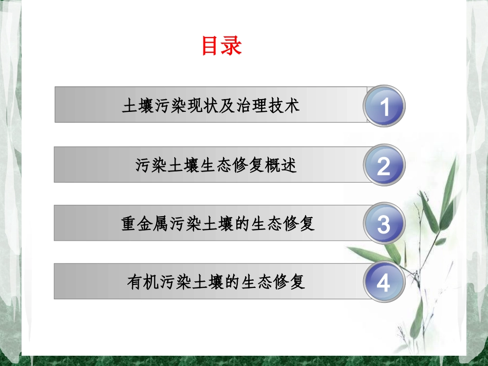 土壤污染生态修复分解_第2页