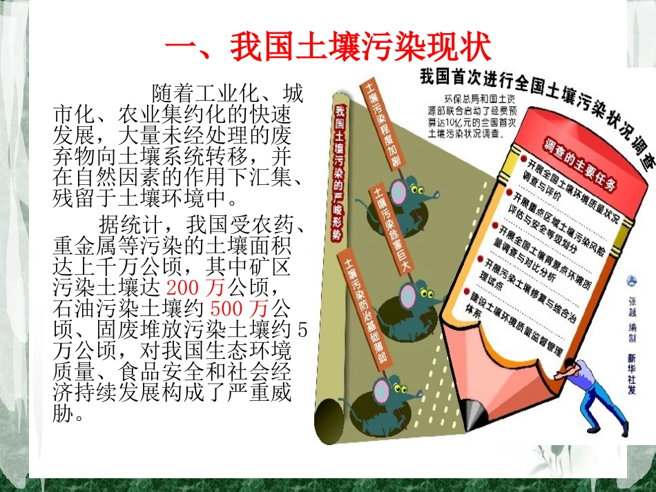 土壤污染生态修复分解_第3页