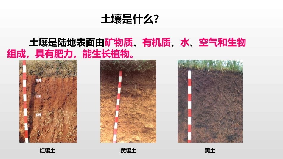 土壤与施肥培训课件_第2页