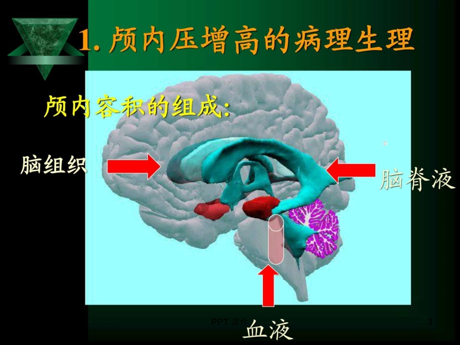 外科护理学课件课件_第3页