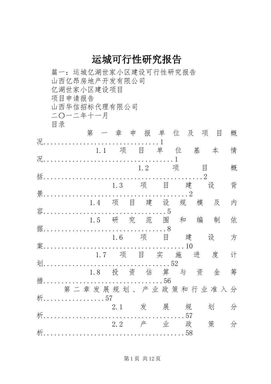 运城可行性研究报告_第1页