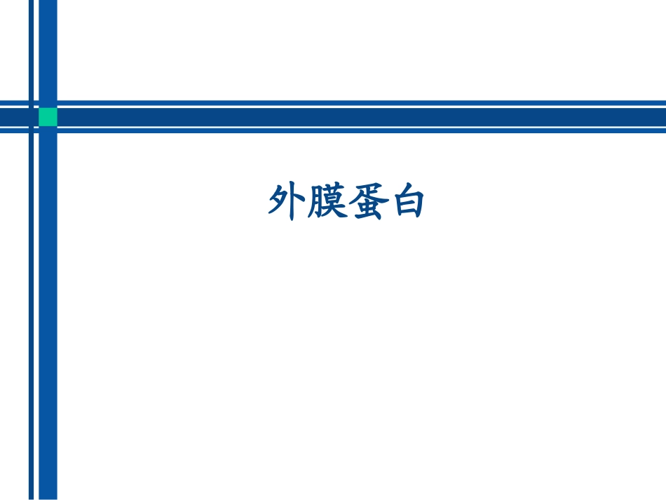外膜蛋白结构及分类_第1页