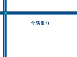 外膜蛋白结构及分类