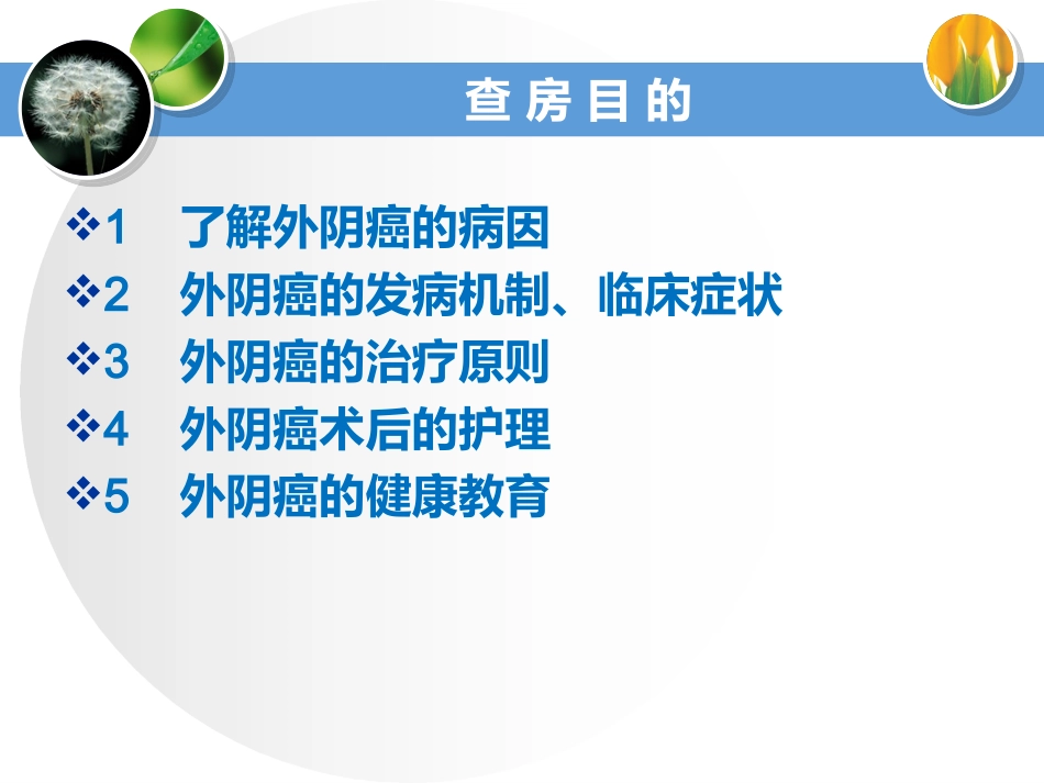 外阴癌的护理要点_第2页