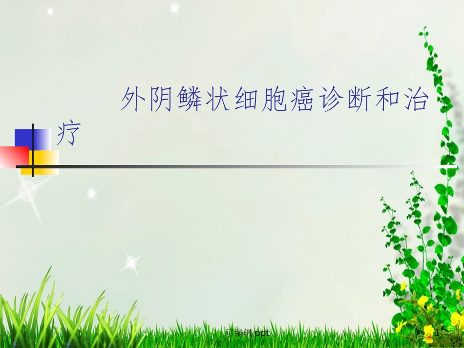 外阴癌的诊疗和治疗课件_第1页