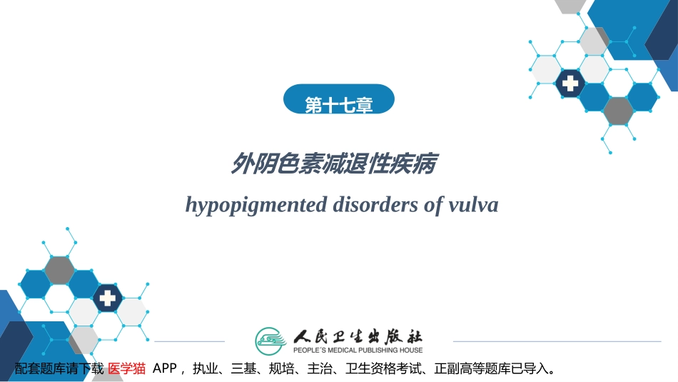 外阴色素减退性疾病_第2页