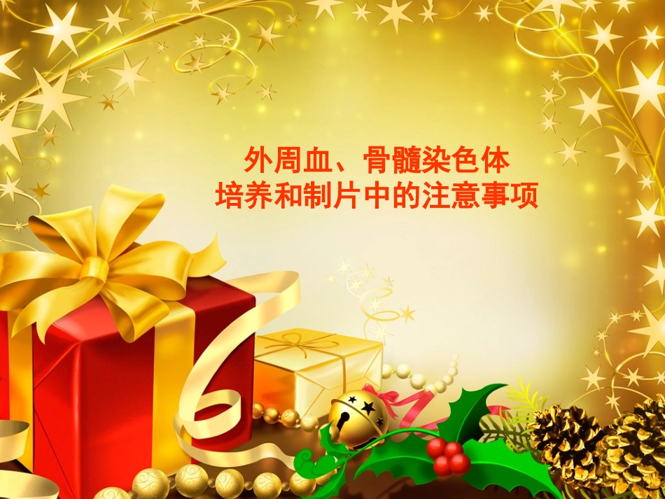 外周血骨髓染色体教材_第1页