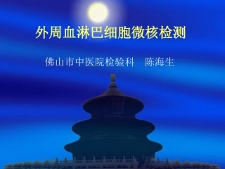 外周血淋巴细胞微核检测