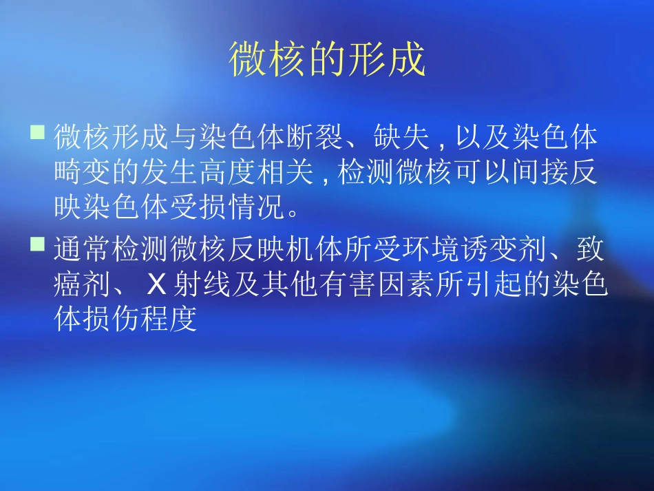 外周血淋巴细胞微核检测课件_第3页