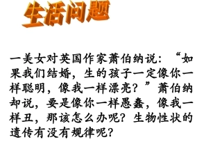 豌豆杂交实验一