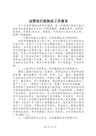 运管处行政执法工作意见