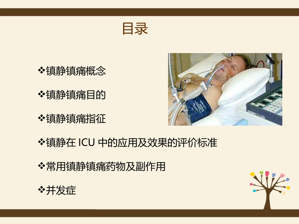 危重病人镇静和镇痛管理课件_第2页
