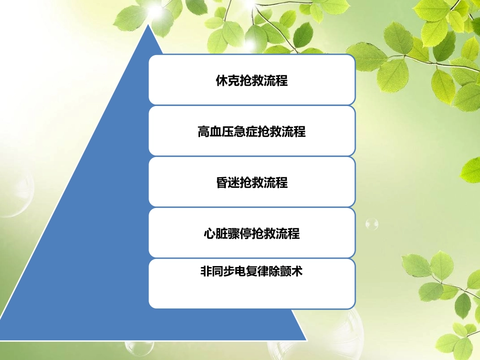 危重症抢救流程_第2页