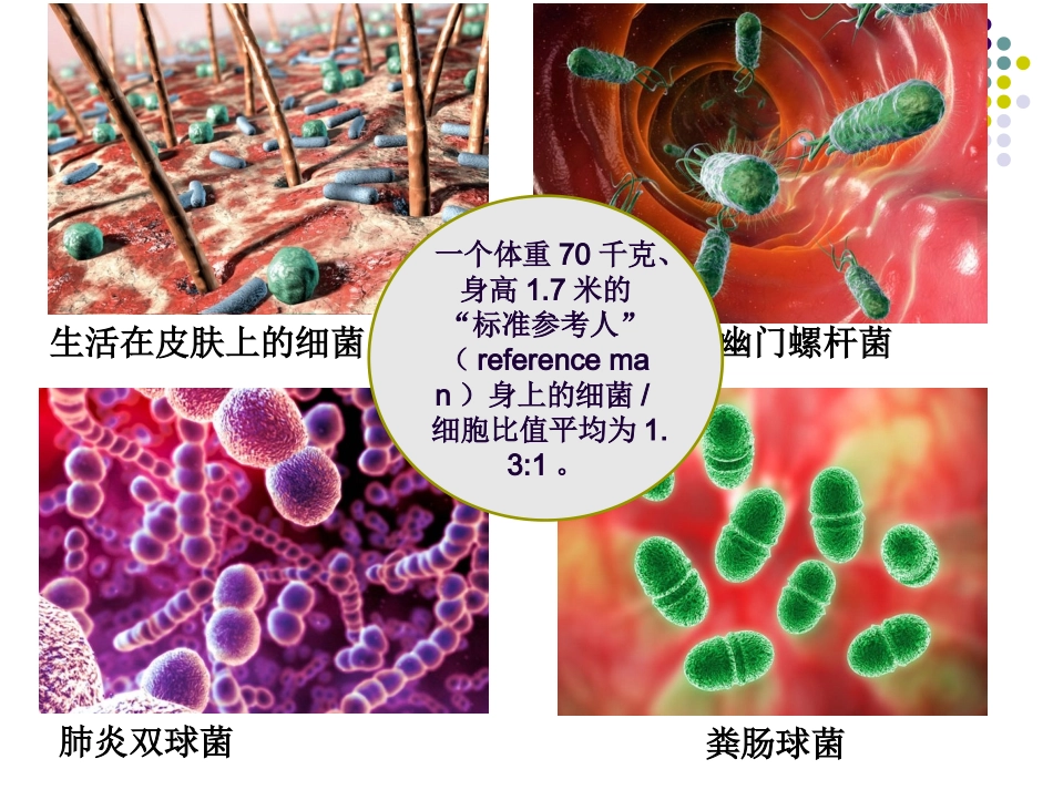 微生物的类群及特点_第2页