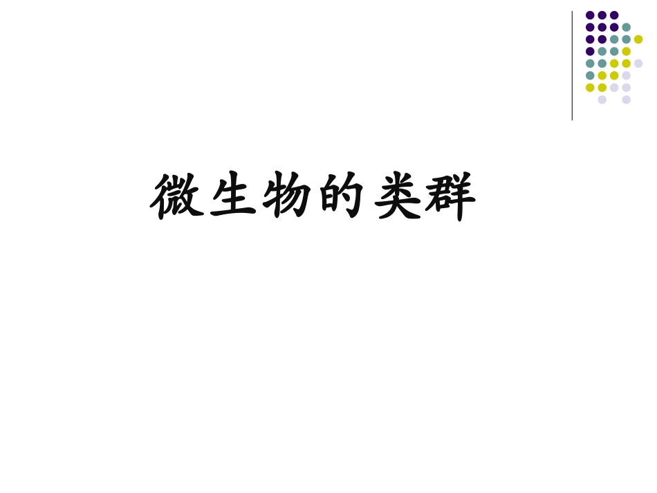 微生物的类群及特点_第3页