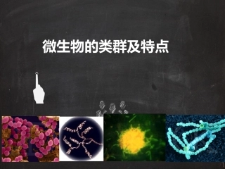 微生物的类群及特点