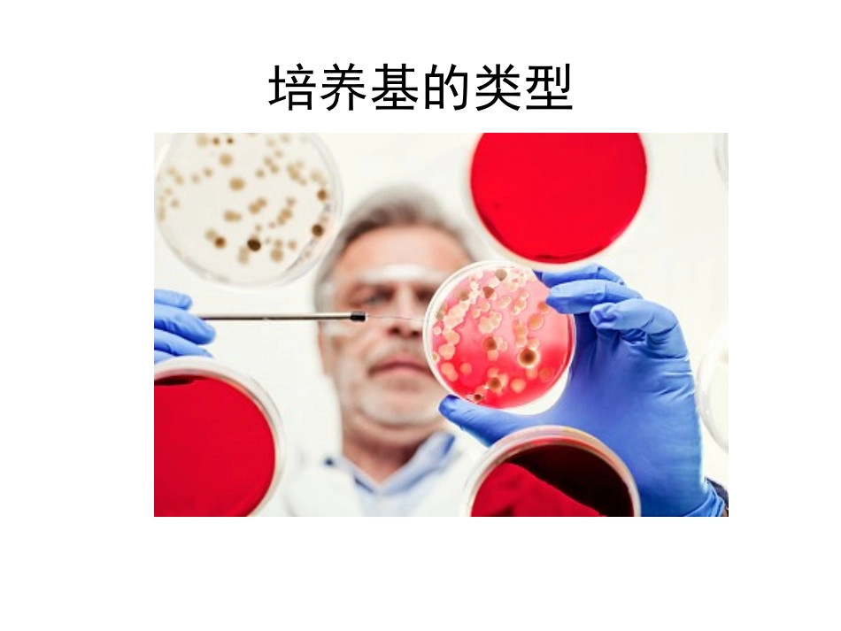 微生物的培养基_第1页