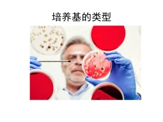 微生物的培养基