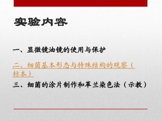 微生物实验一微生物染色法和光学显微镜的使用