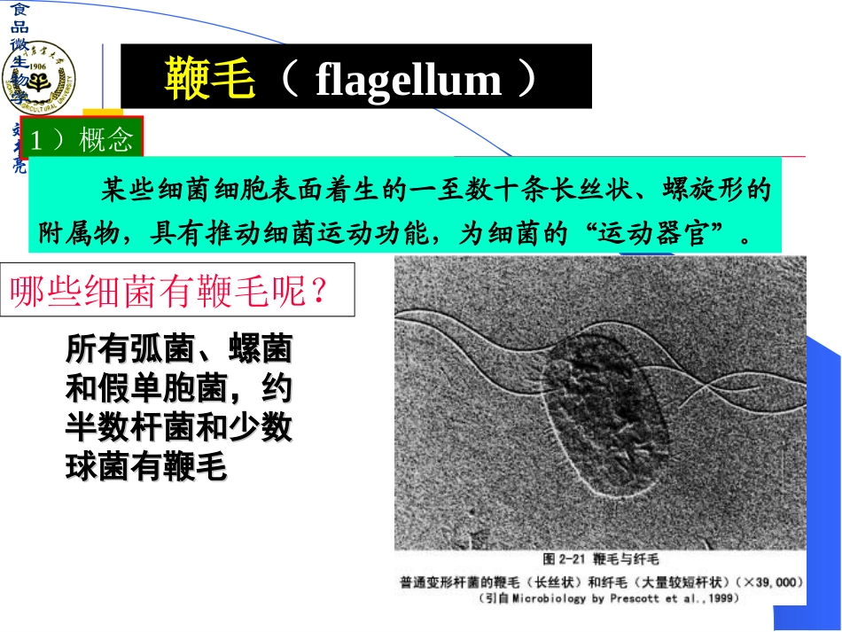 微生物详细介绍_第3页