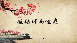 微循环和人体健康