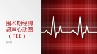 围术期经胸超声心动图TEE