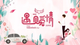 唯美浪漫梦幻情人节电子相册