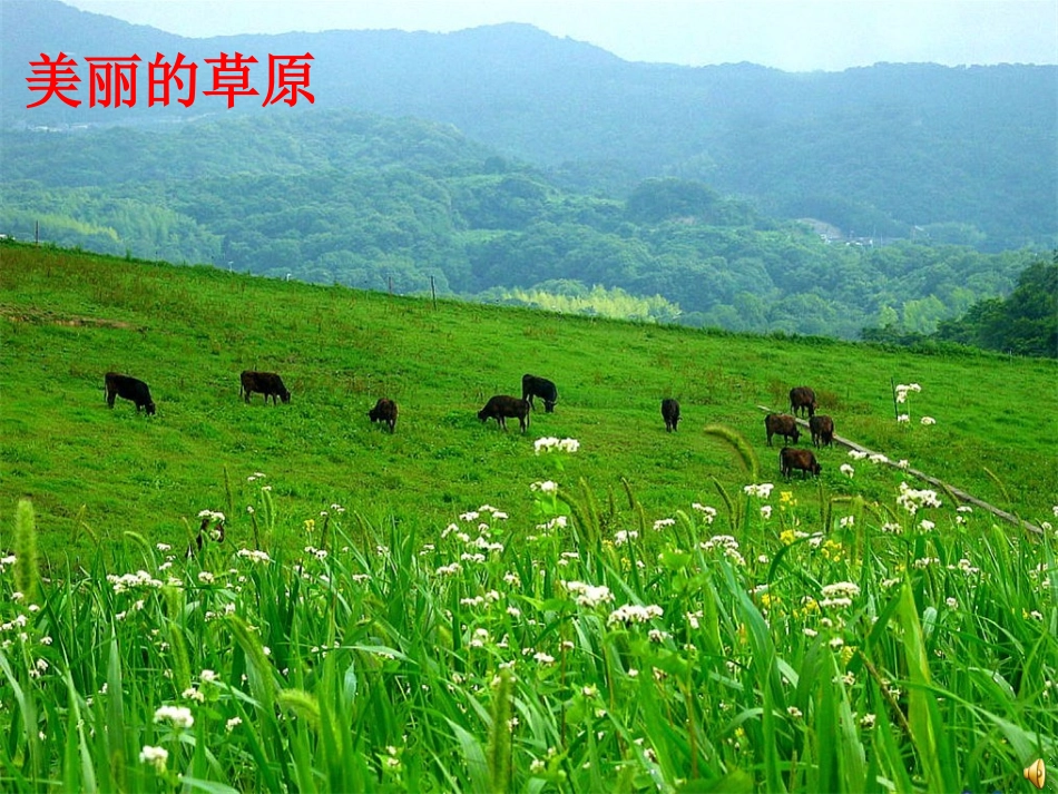维护生态平衡课件_第2页