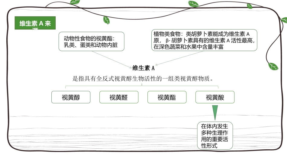 维生素A缺乏症课件_第3页